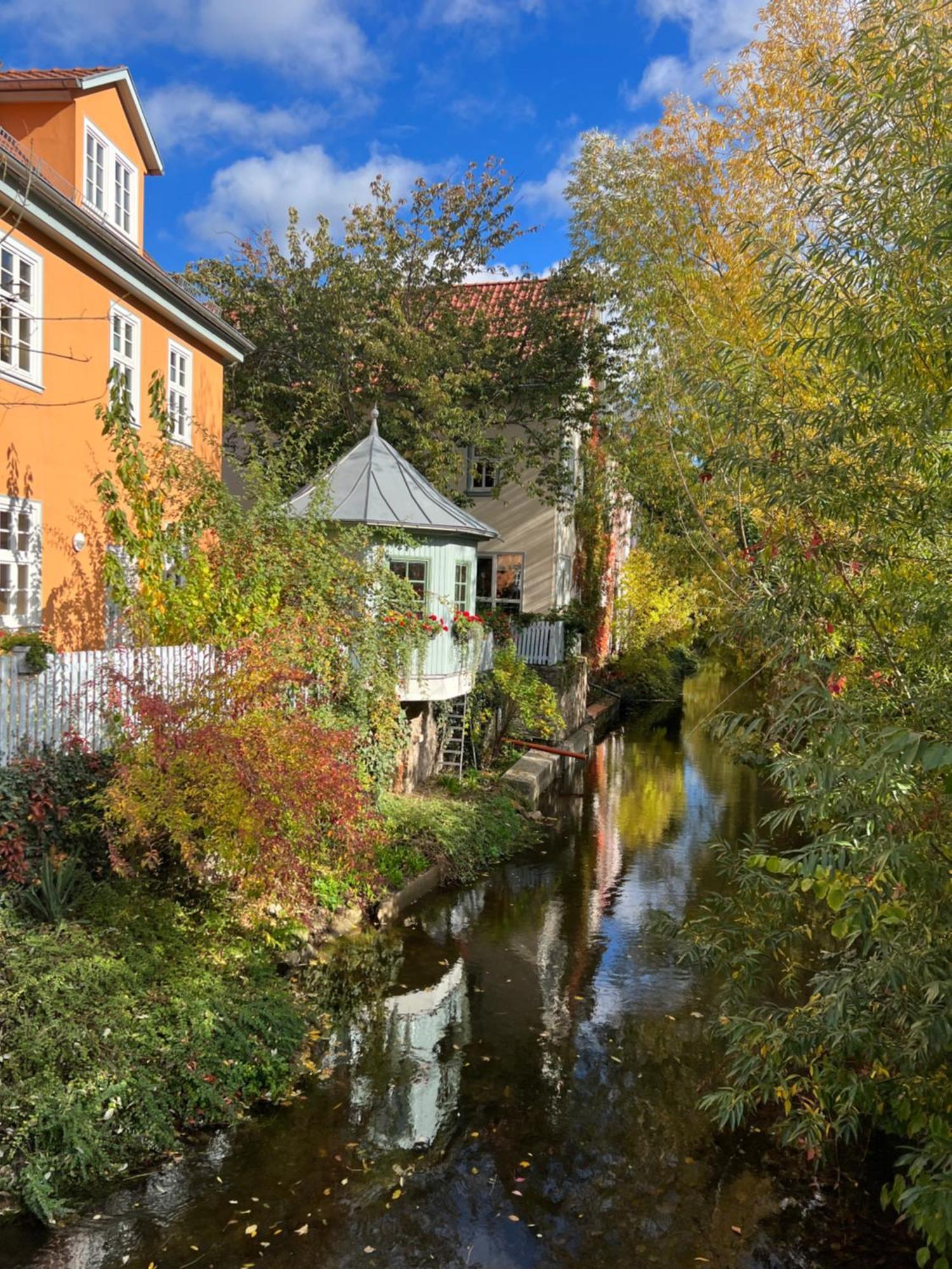 Ferienwohnung Schildblick Modernes Apartment Direkt In Der Altstadt Von Erfurt Nahe Der Kraemerbruecke - Beste Innenstadtlage Екстер'єр фото